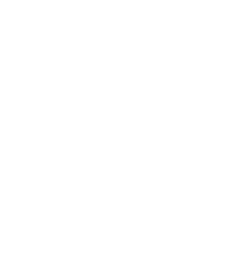 Logo Es Fangar